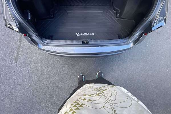 2022 Lexus IS