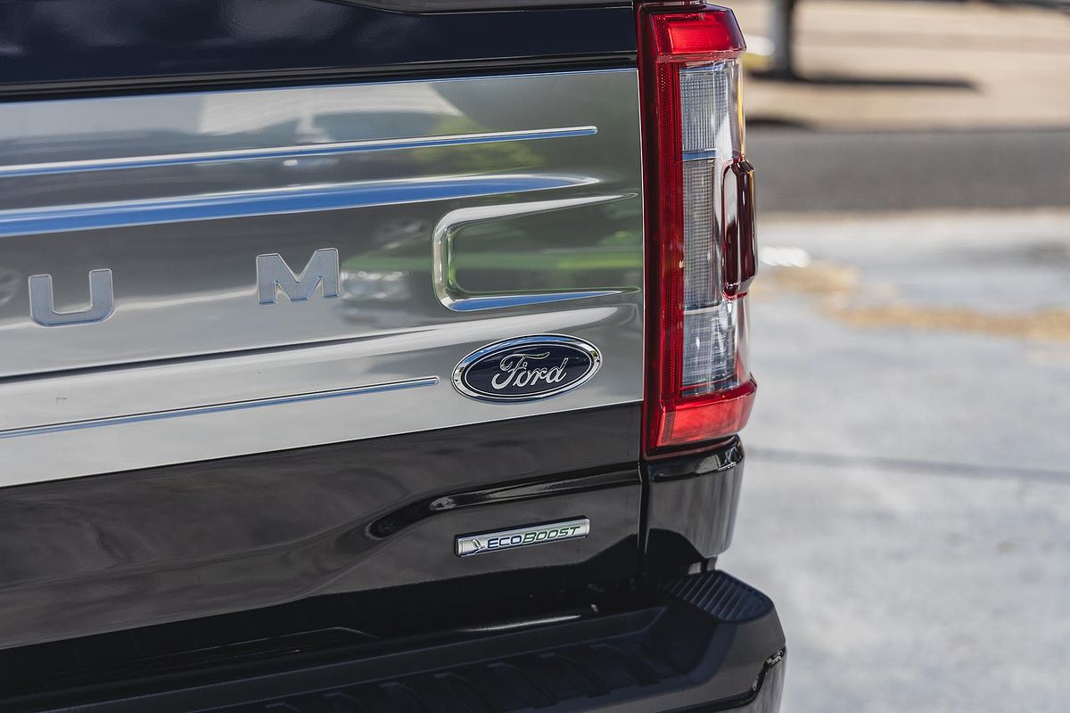 2022 Ford F-150 Platinum 4X4