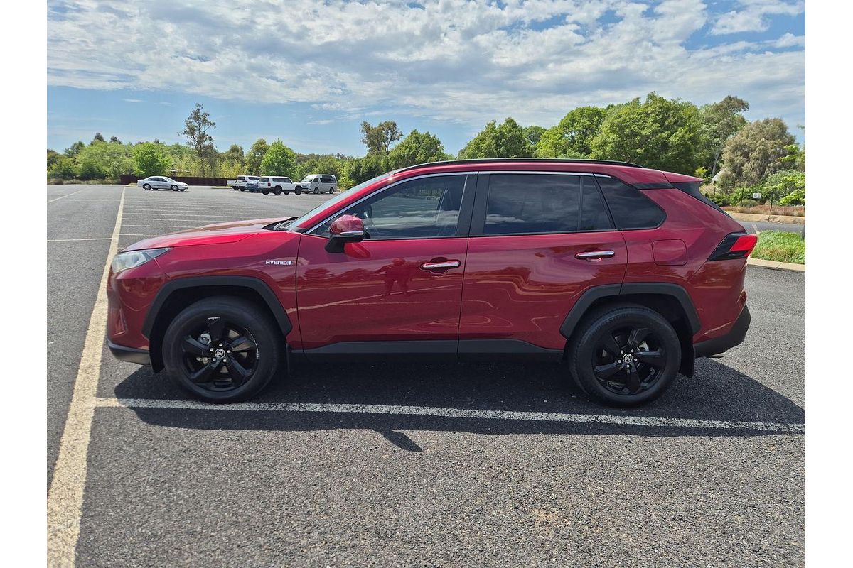 2021 Toyota RAV4 Cruiser AXAH52R