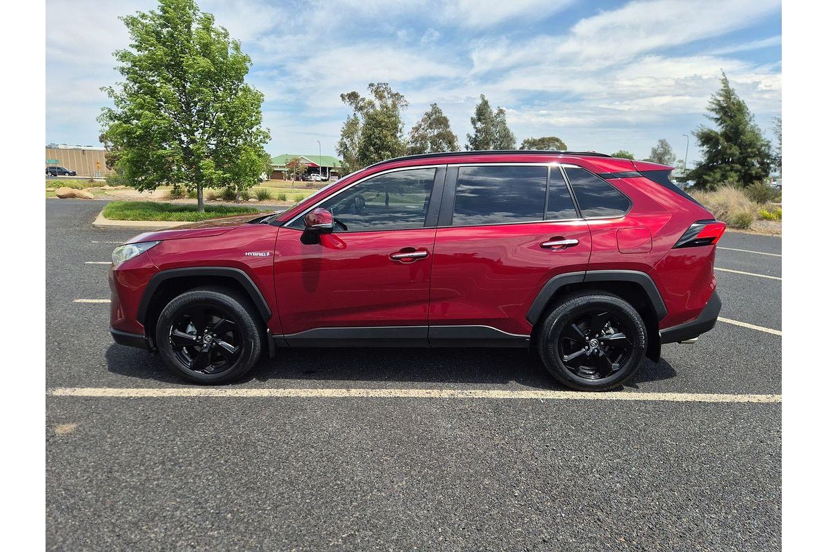 2021 Toyota RAV4 Cruiser AXAH52R