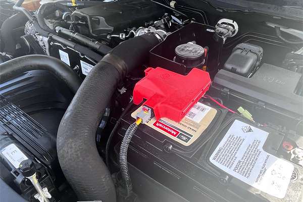 2021 Ford Ranger XL Hi-Rider PX MkIII Rear Wheel Drive 2.2L