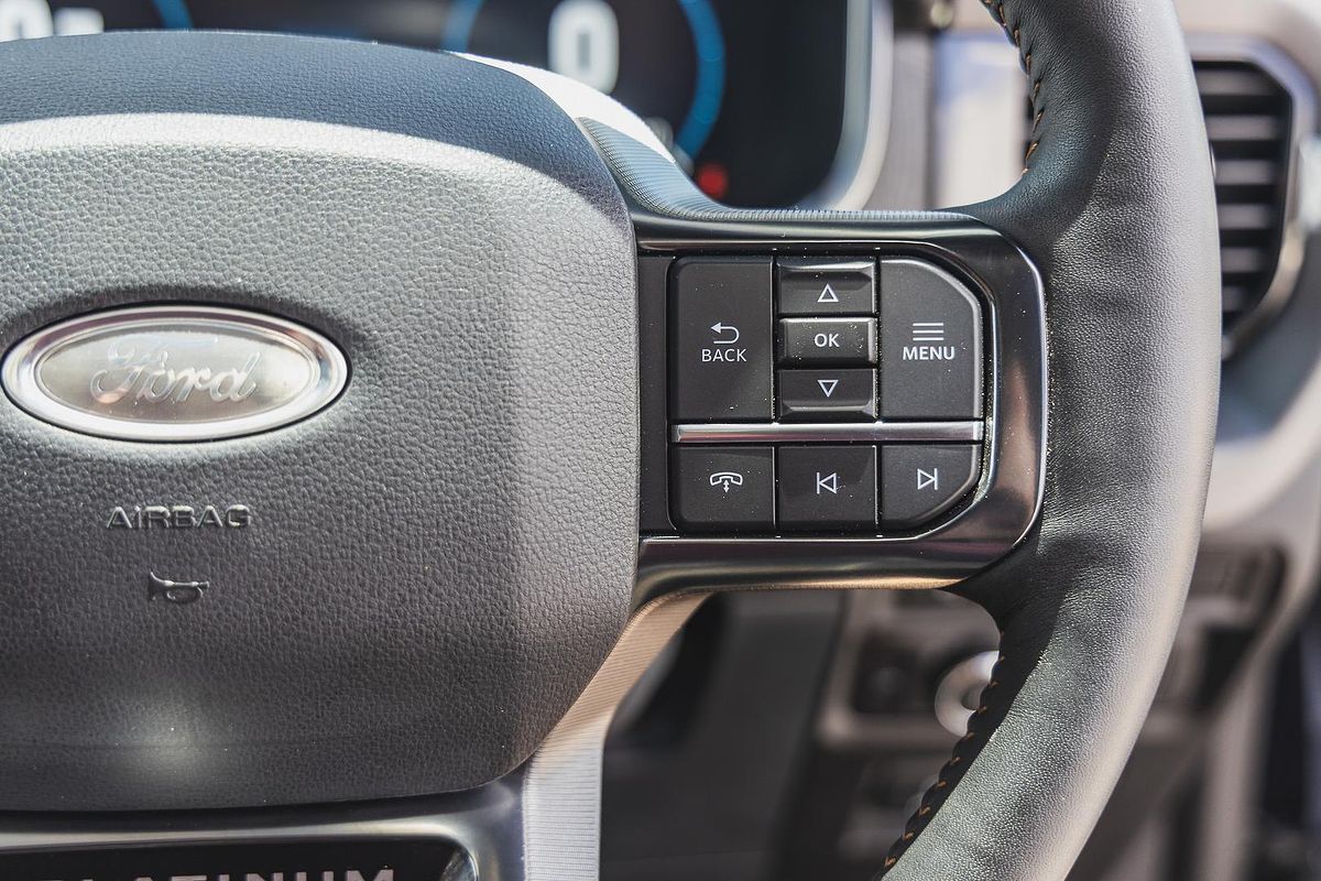 2022 Ford F-150 Platinum 4X4