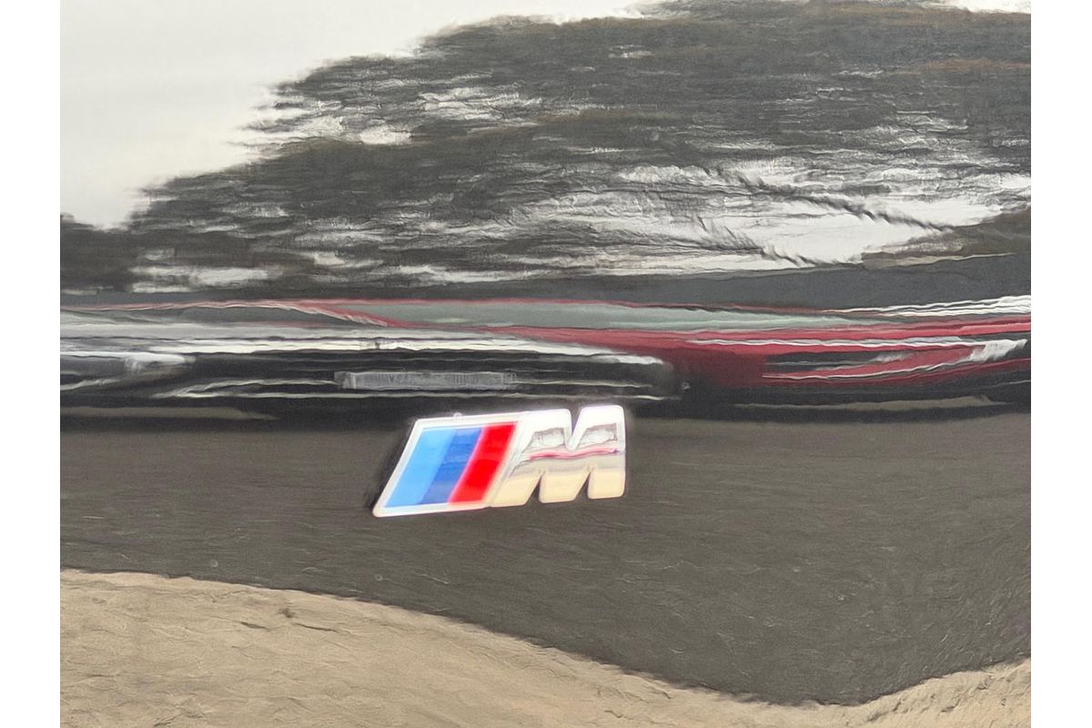 2021 BMW X4 xDrive30i M Sport G02