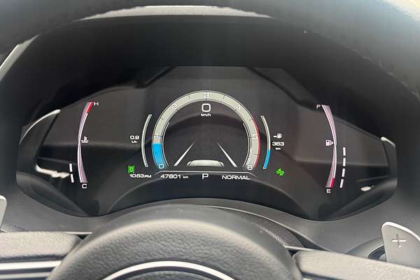 2021 GWM Ute Cannon-X NPW 4X4