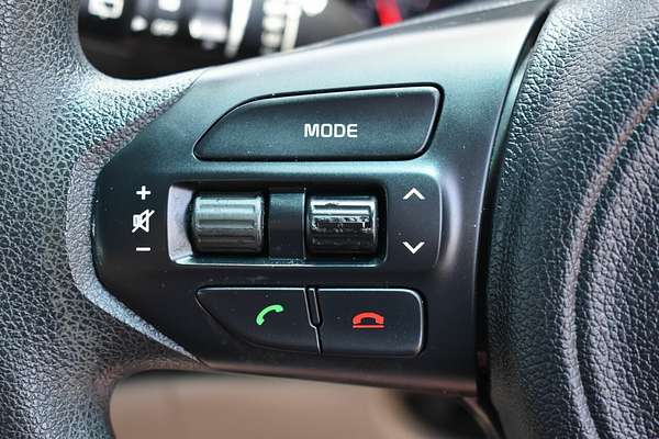 2017 Kia Carnival S YP