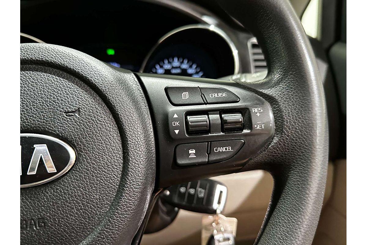 2019 Kia Carnival S YP