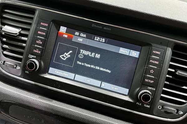 2019 Kia Carnival S YP
