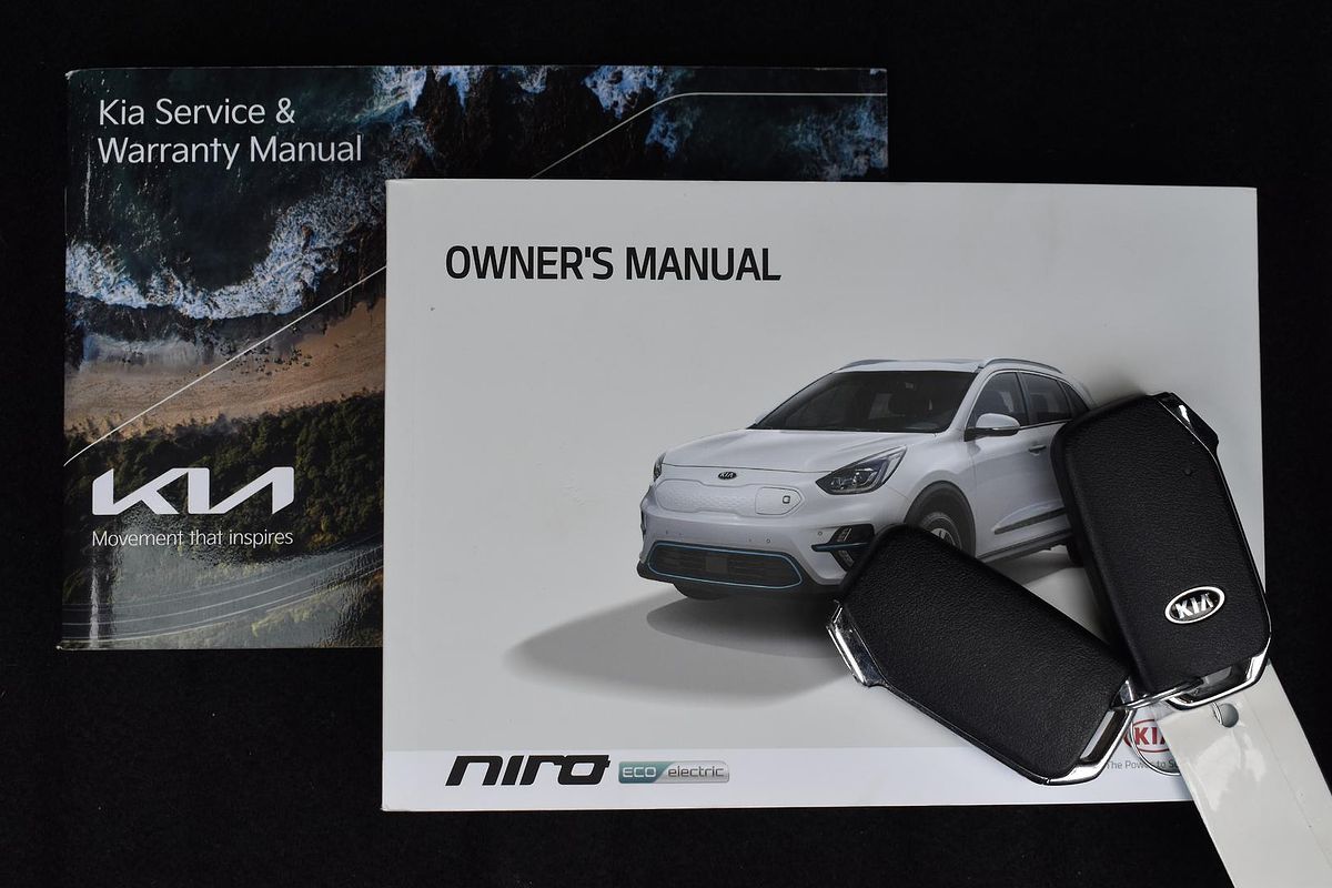 2021 Kia Niro EV Sport DE