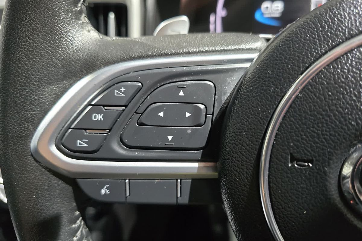 2022 GWM Ute Cannon-X NPW 4X4