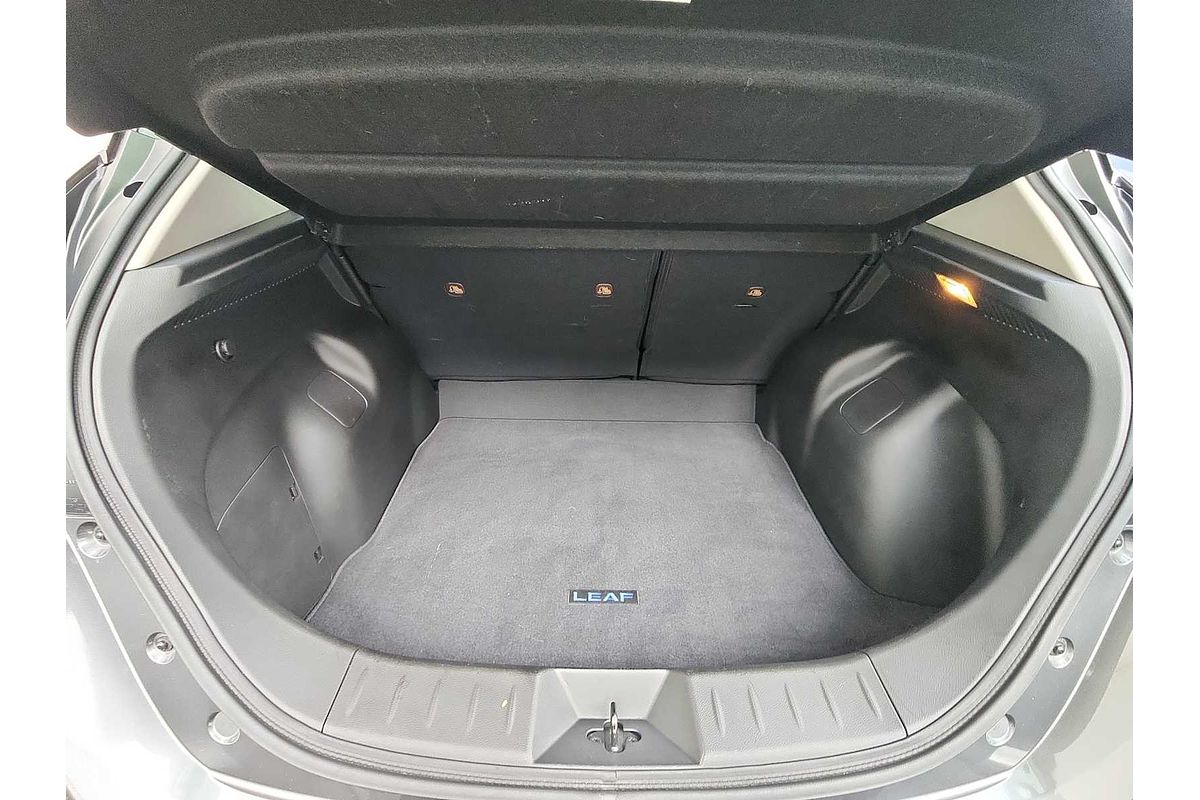 2020 Nissan LEAF SV