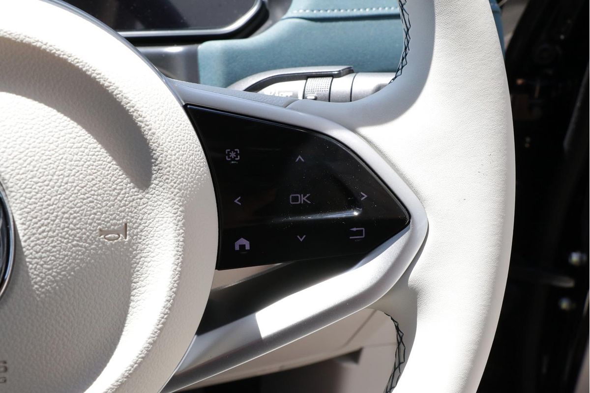 2025 GWM Ora Lux ES11