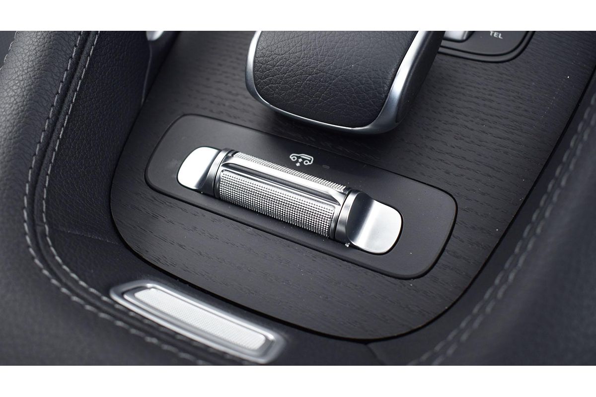 2024 Mercedes-Benz GLS-Class GLS450 d X167