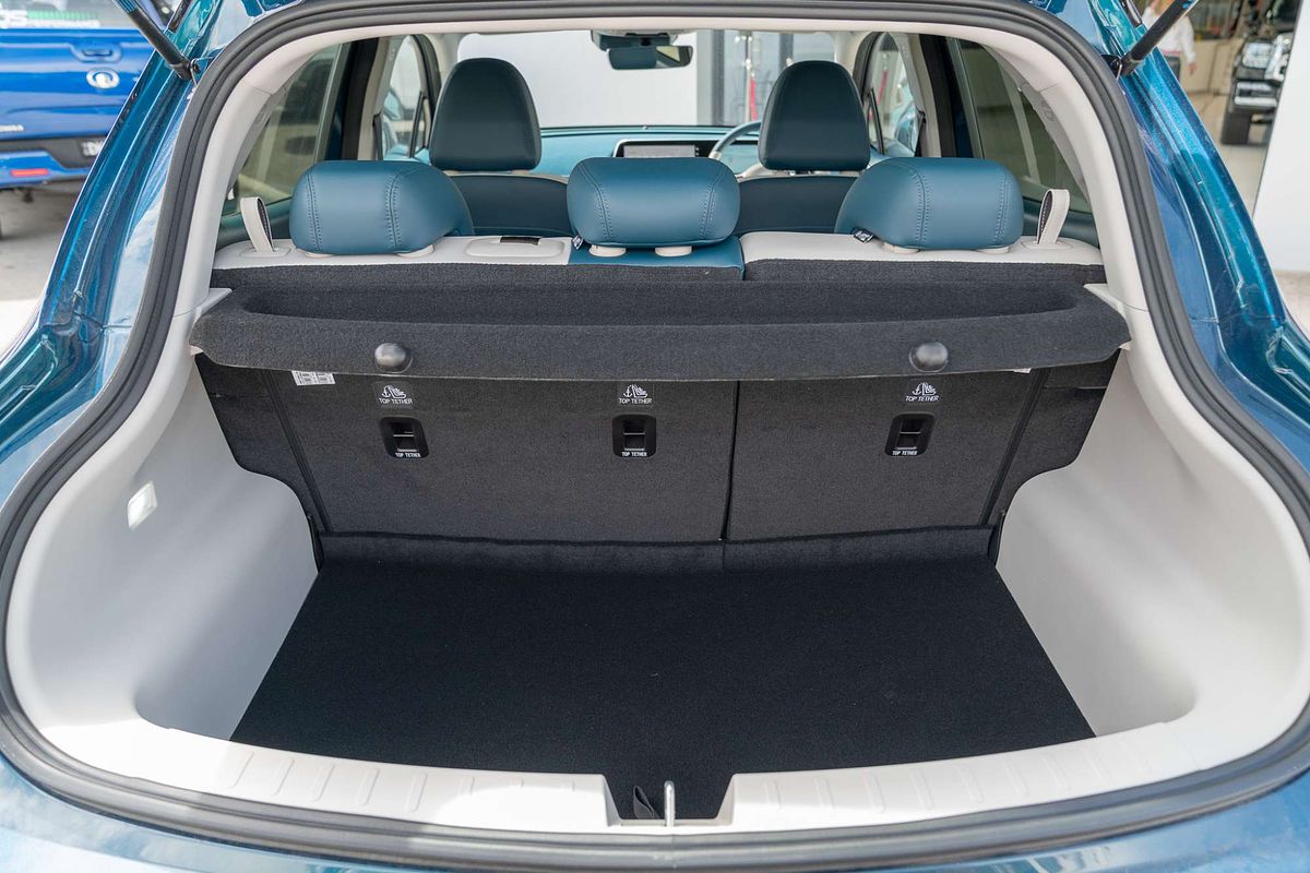 2025 GWM Ora Extended Range ES11