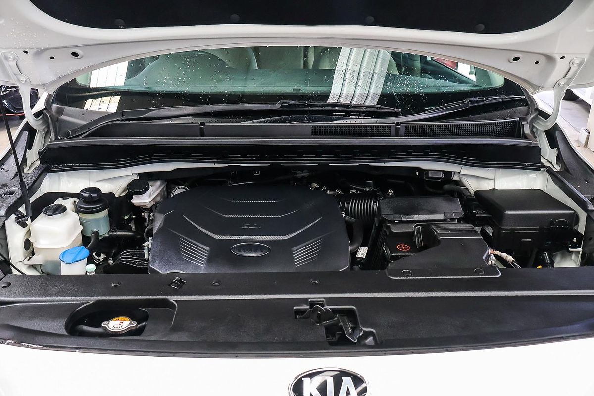 2018 Kia Carnival S YP