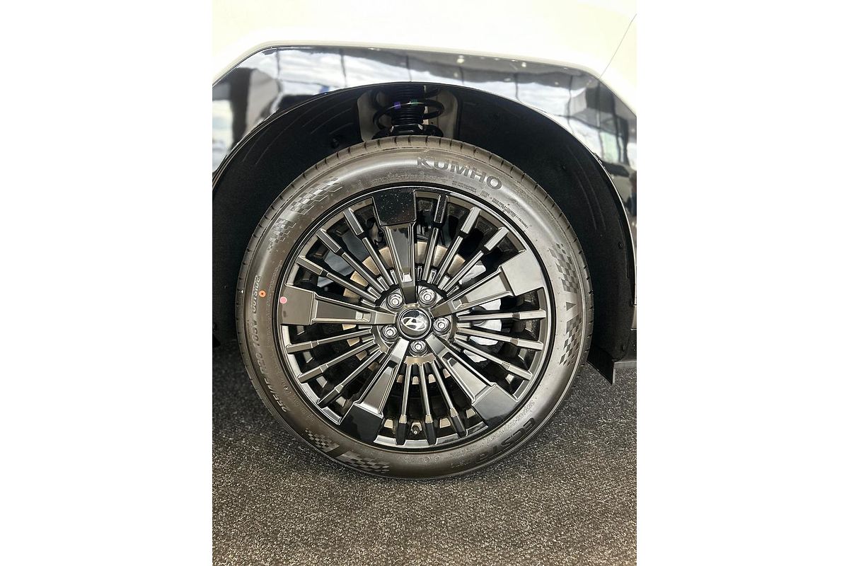 2025 Hyundai Santa Fe Hybrid Calligraphy MX5.V1