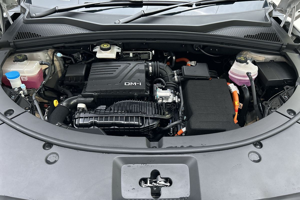 2024 BYD SEALION 6 Dynamic