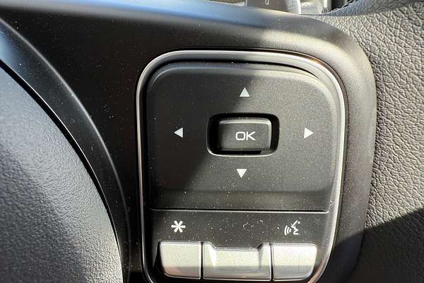 2025 GWM Cannon Premium NPW 4X4