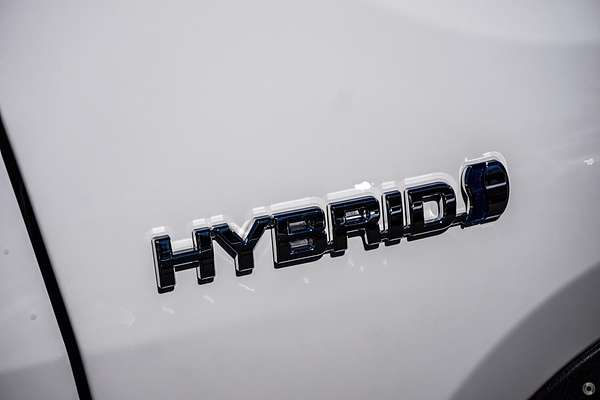 2020 Toyota RAV4 Cruiser AXAH54R