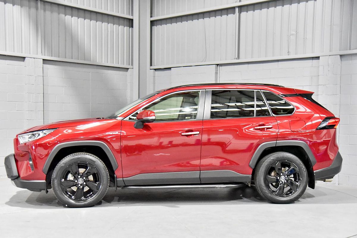 2019 Toyota RAV4 Cruiser AXAH52R