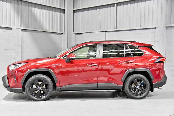2019 Toyota RAV4 Cruiser AXAH52R