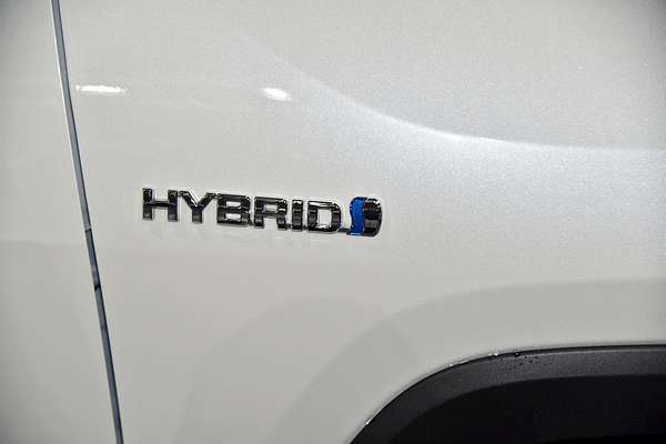 2020 Toyota RAV4 Cruiser AXAH54R
