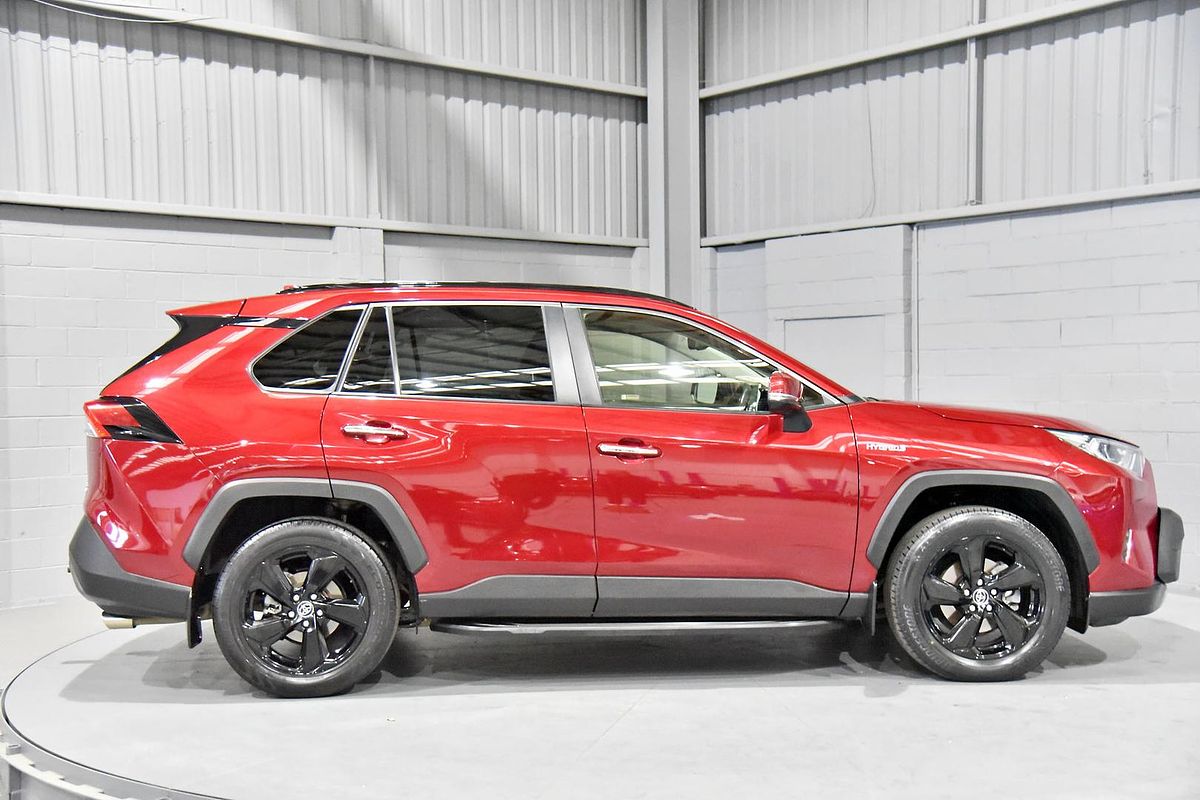 2019 Toyota RAV4 Cruiser AXAH52R
