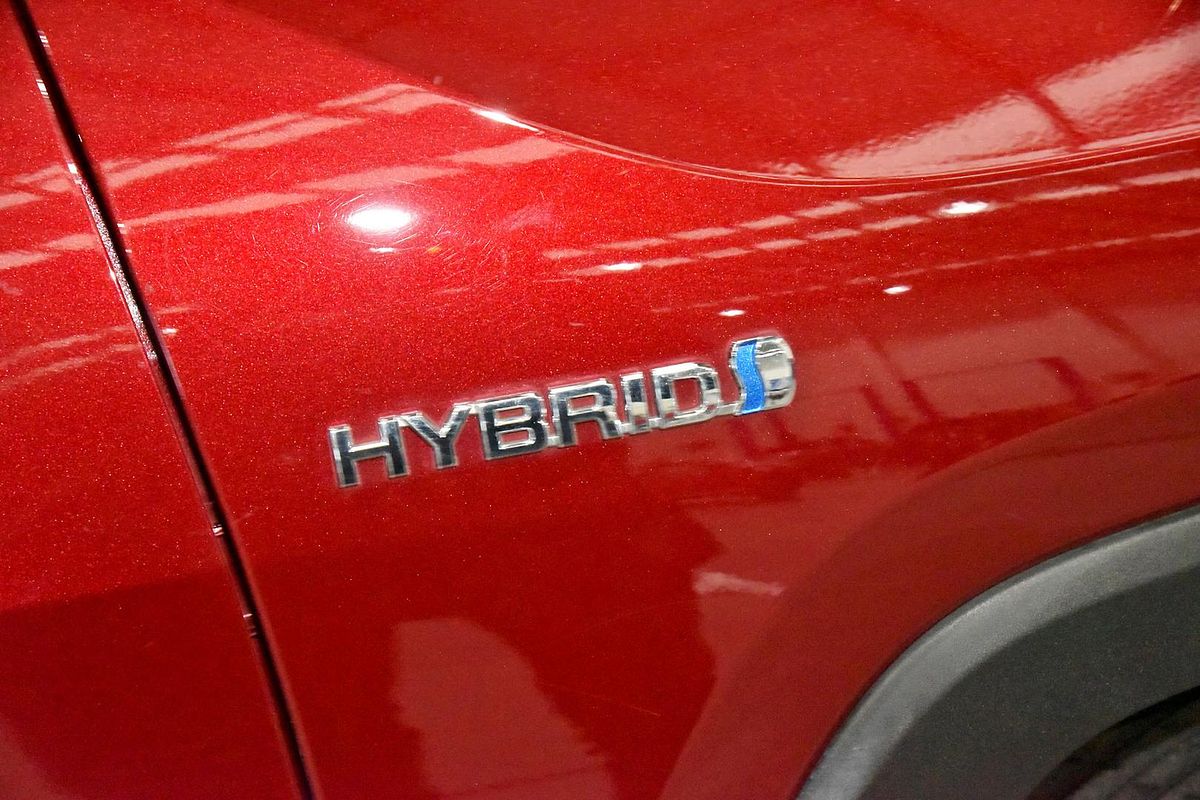 2019 Toyota RAV4 Cruiser AXAH52R