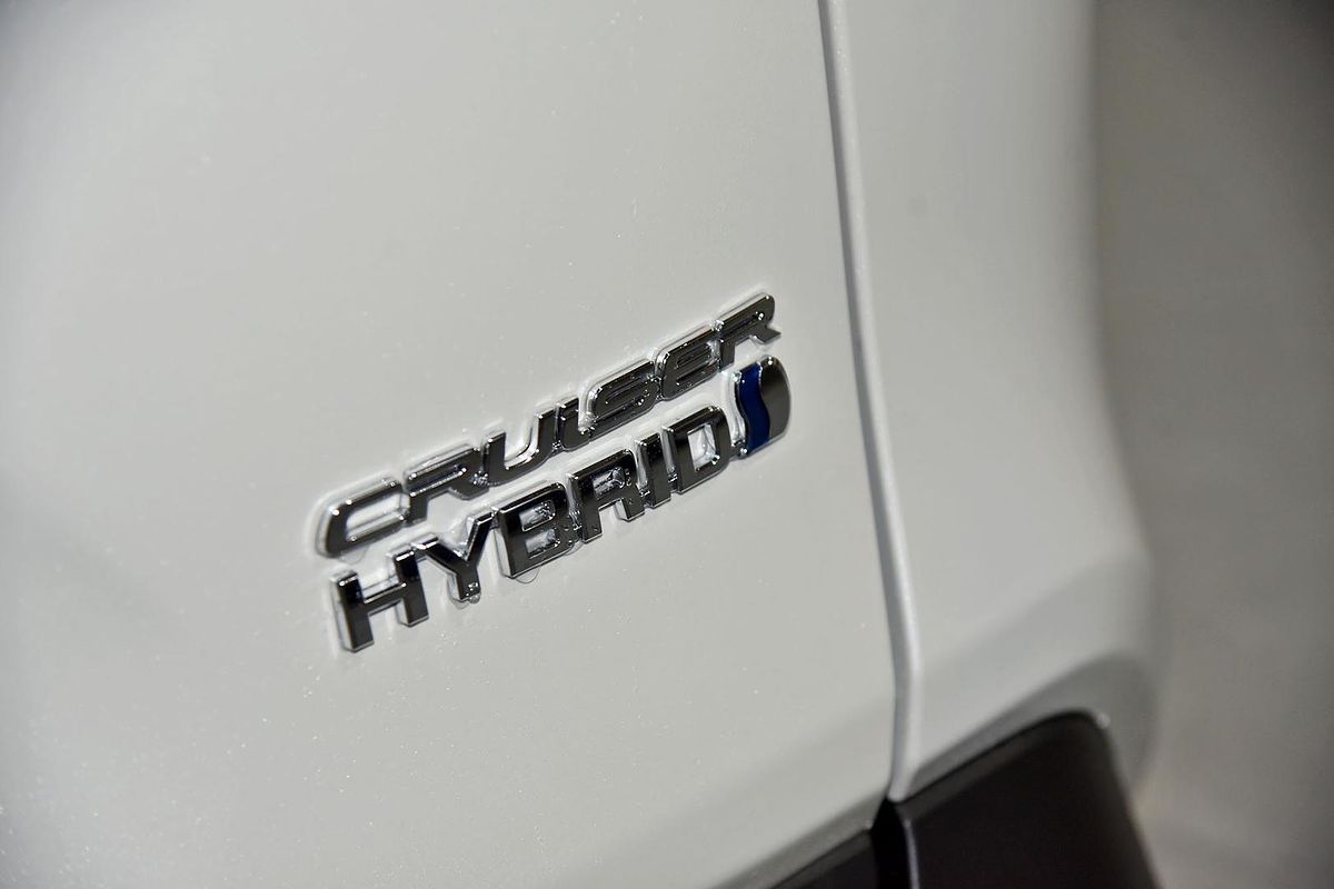 2020 Toyota RAV4 Cruiser AXAH54R