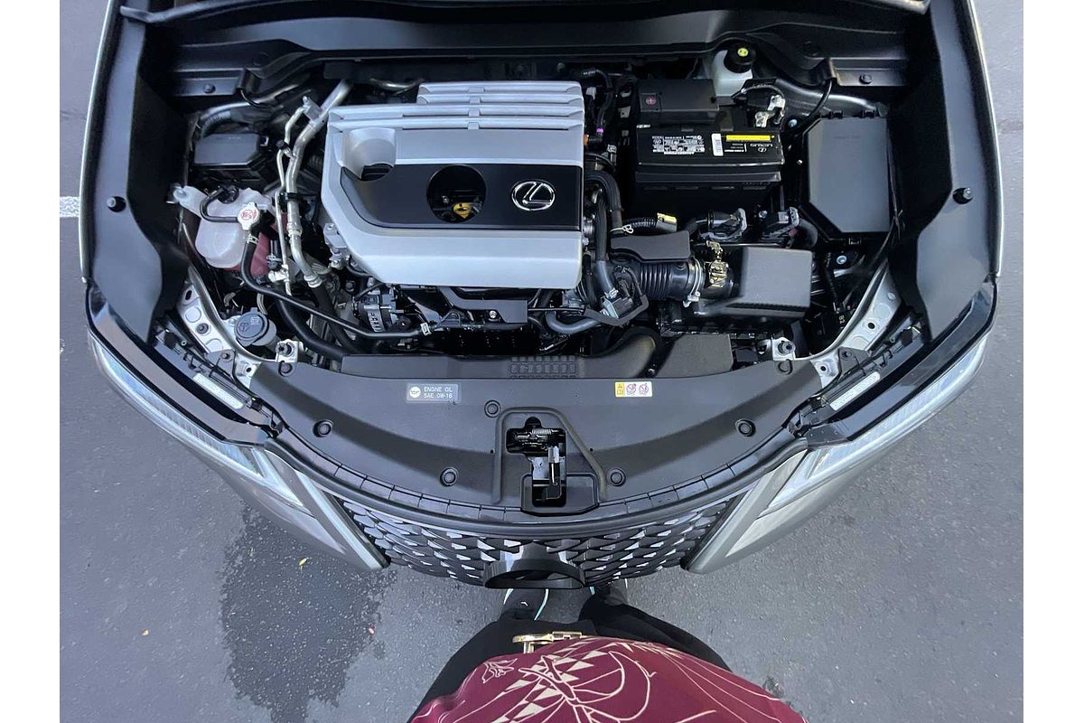 2022 Lexus UX UX 200 F SPORT