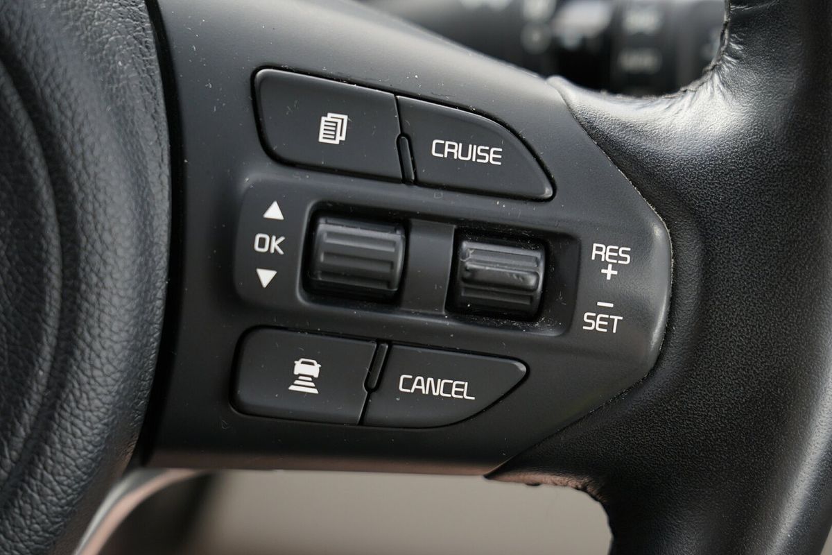2015 Kia Carnival Platinum YP