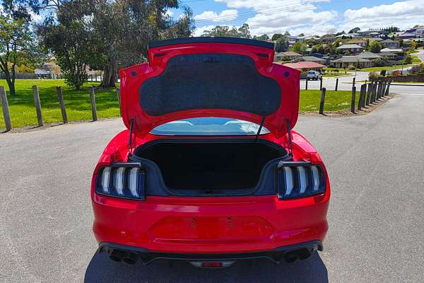 2019 Ford Mustang GT FN