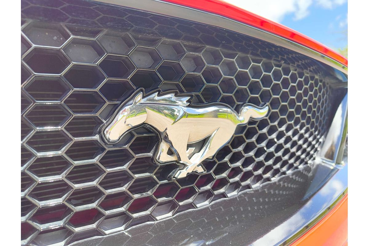 2019 Ford Mustang GT FN