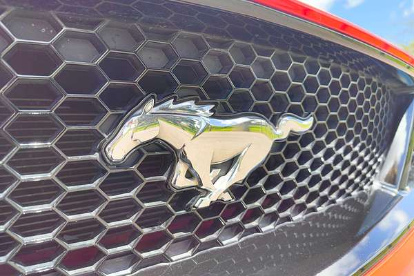 2019 Ford Mustang GT FN