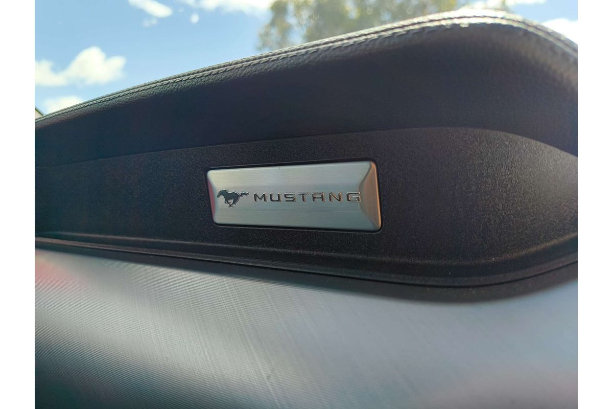 2019 Ford Mustang GT FN