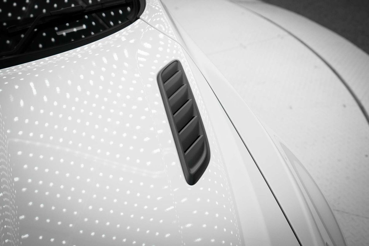 2017 Holden Special Vehicles GTS R GEN-F2