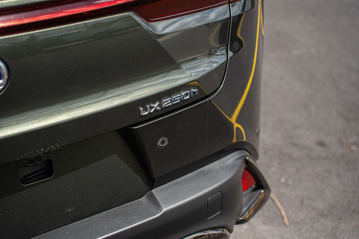 2019 Lexus UX UX250h F Sport MZAH10R