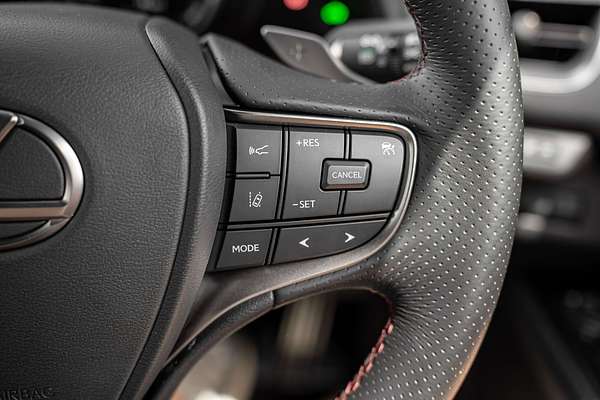 2019 Lexus UX UX250h F Sport MZAH10R