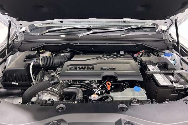 2025 GWM Cannon XSR NPW 4X4