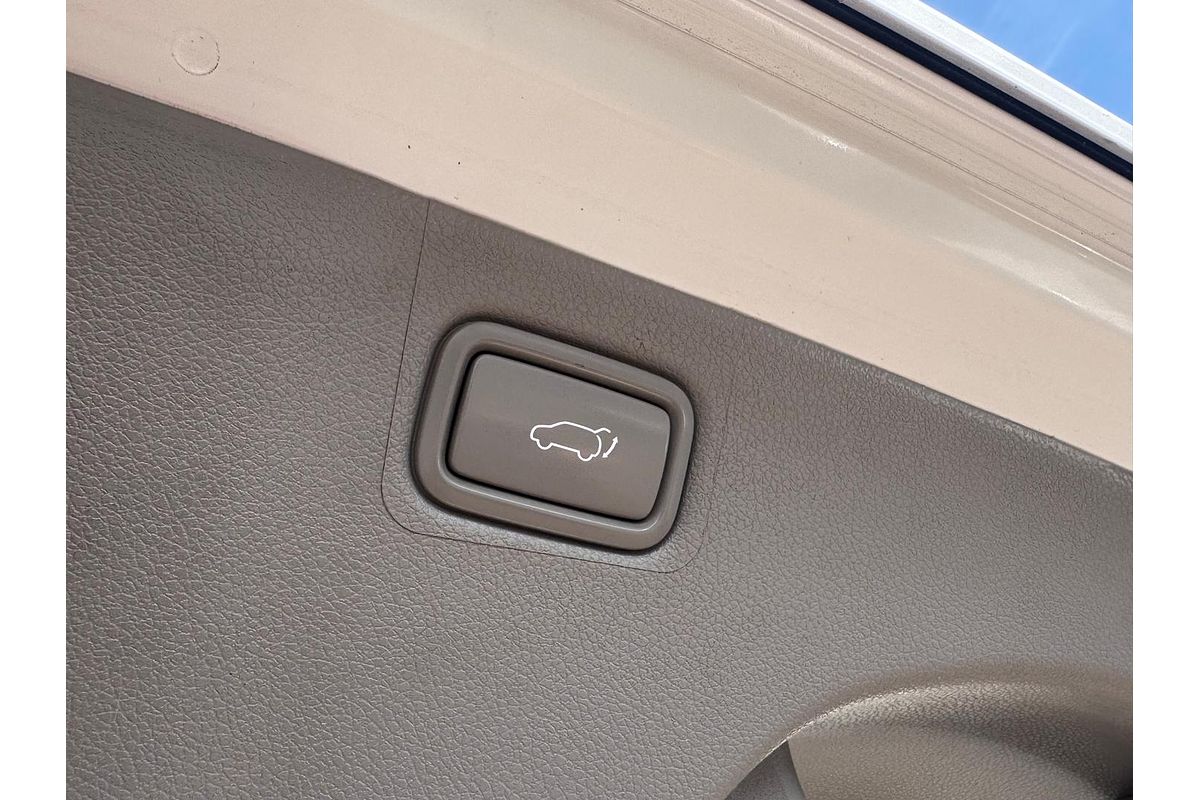 2019 Kia Carnival Platinum YP