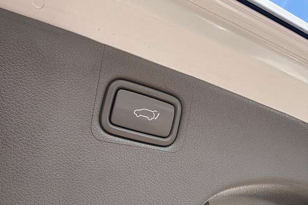 2019 Kia Carnival Platinum YP