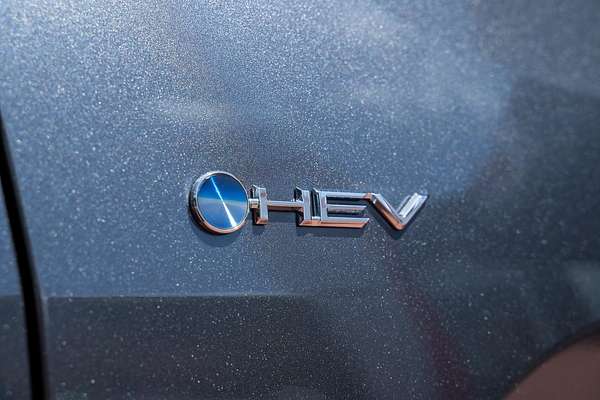 2025 Toyota RAV4 Cruiser AXAH54R