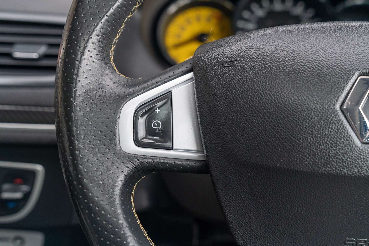 2012 Renault Megane R.S. 250 Cup III D95