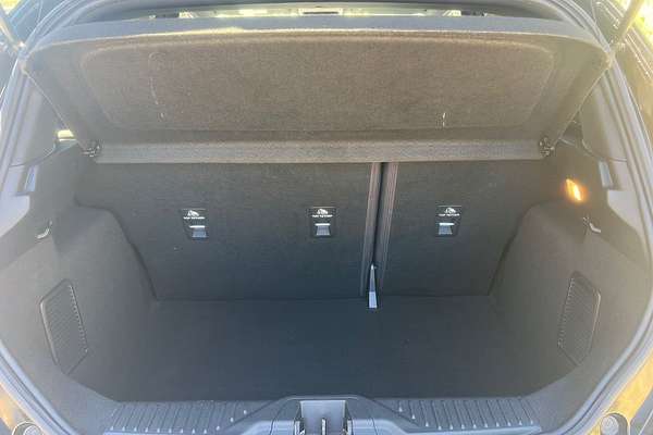 2021 Ford Fiesta ST WG