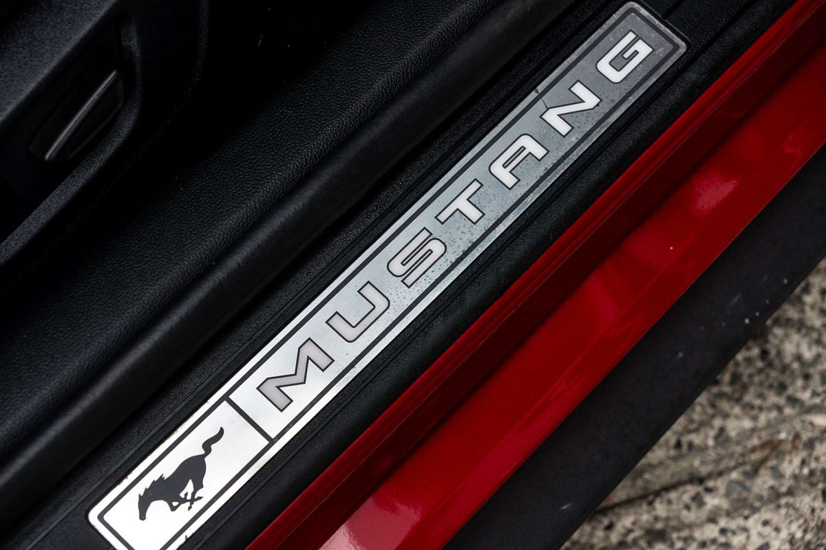 2019 Ford Mustang GT FN