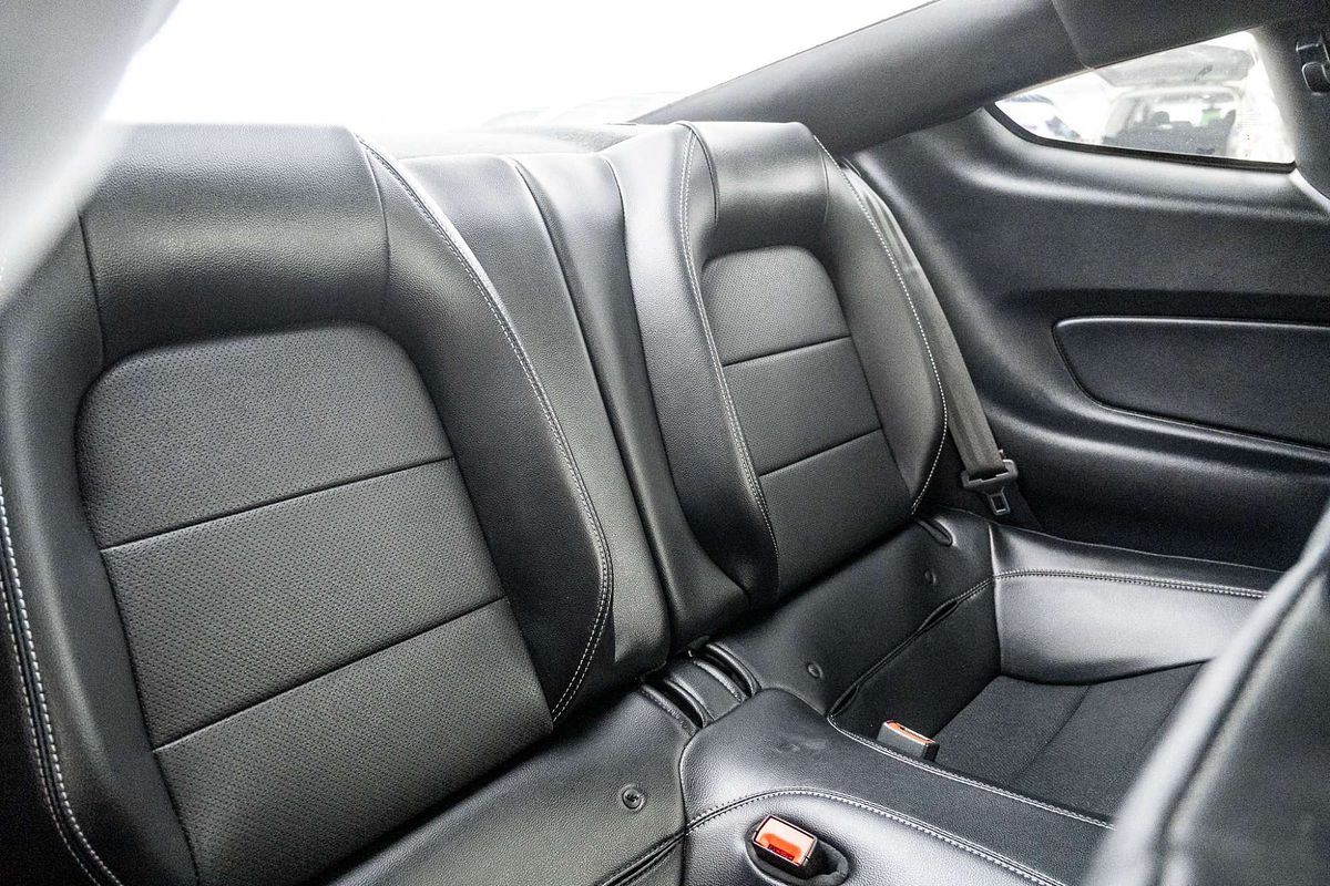 2019 Ford Mustang GT FN