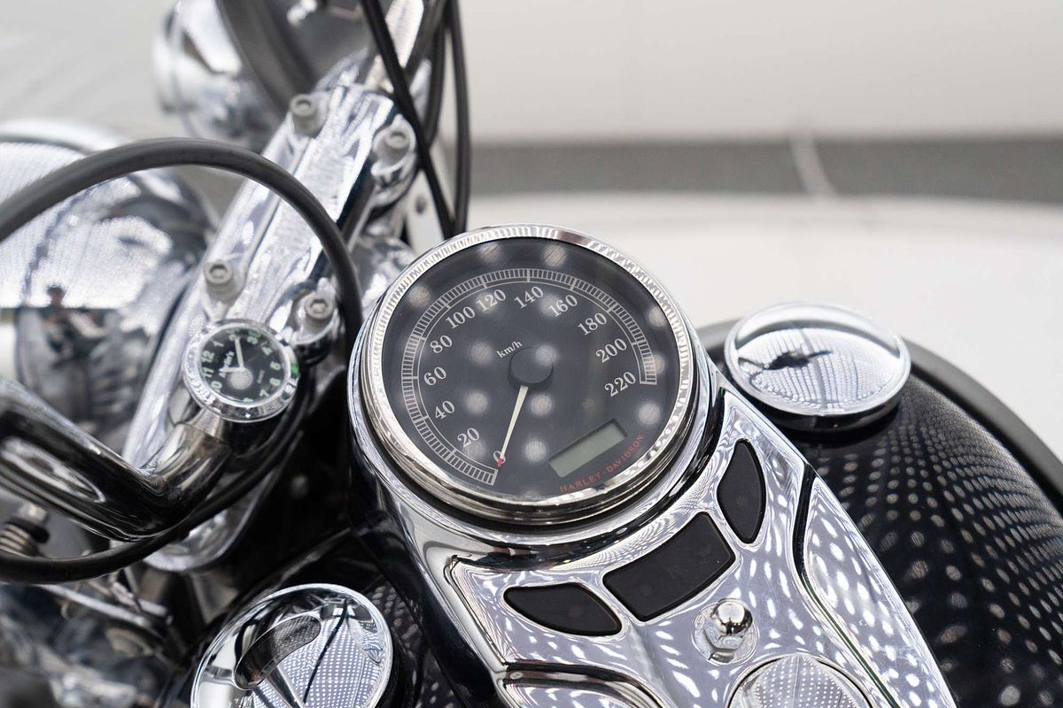 2011 Harley-Davidson Softail Standard 1584 EFI (FXSTI) Softail