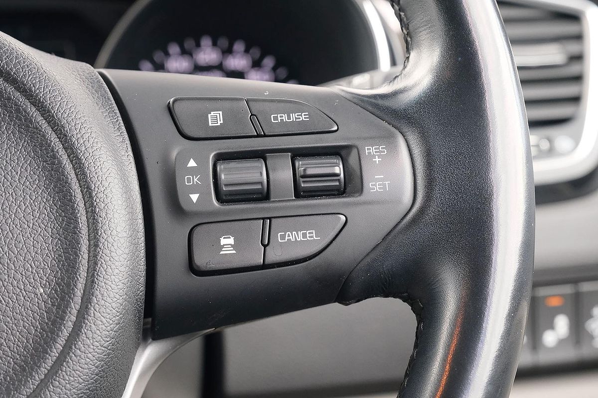 2017 Kia Carnival Platinum YP