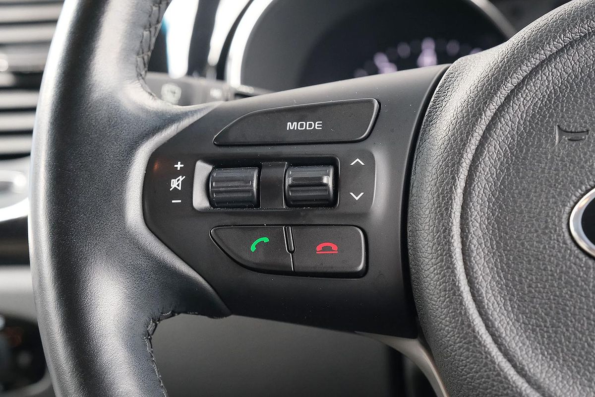 2017 Kia Carnival Platinum YP