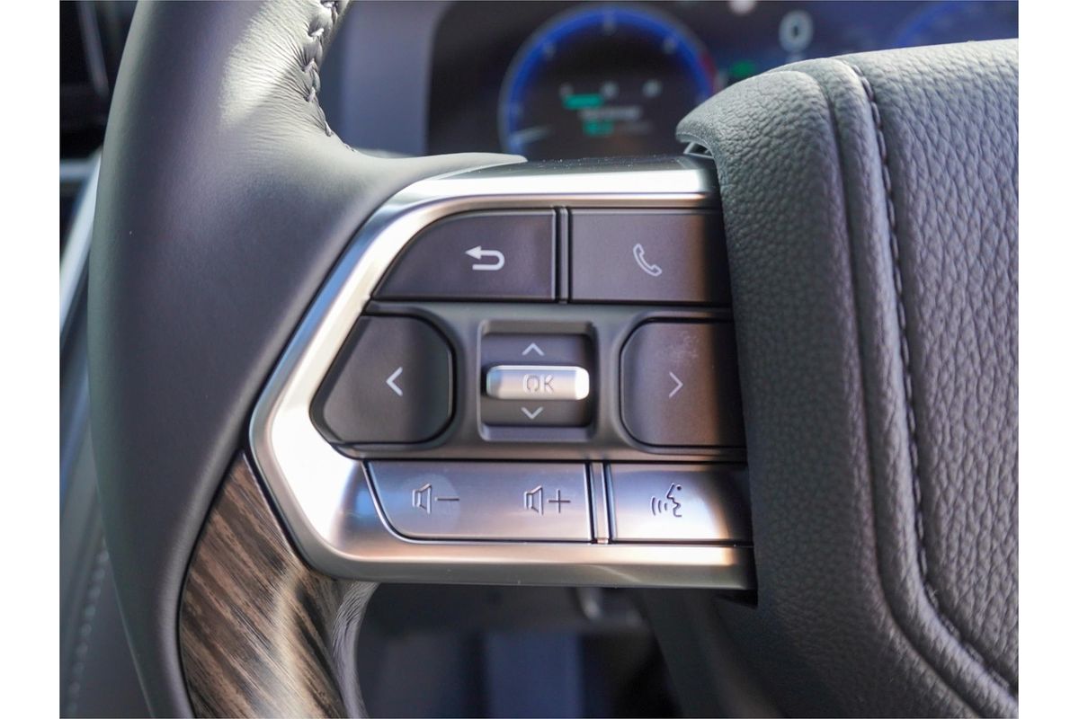 2025 Toyota Landcruiser VX FJA300R