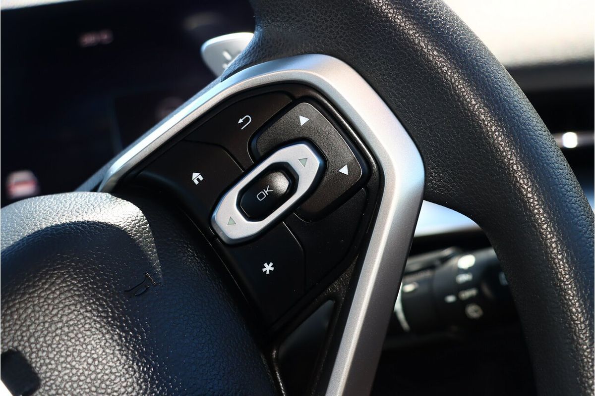 2021 GWM H6 Premium B01